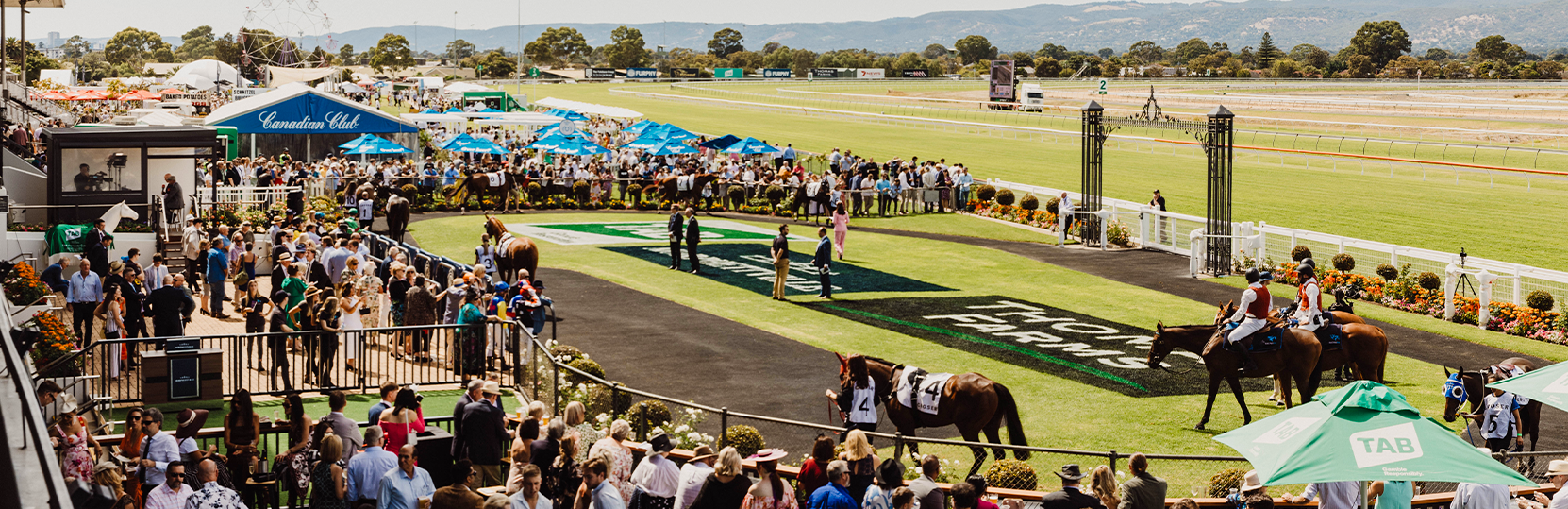2025 Adelaide Cup tickets and packages Morphettville